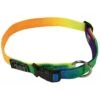 Prestige Collar Adjustable 3/4" NYLON 9-13" RAINBOW -KONG Shop 0013510 collar adjustable 34 nylon 9 13 rainbow