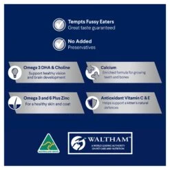 Advance Tender Chicken Delight Kitten Wet Food 85g Trays -KONG Shop 0015057 advance kitten tender chicken delight 85g x 7 trays