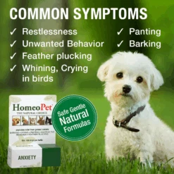 HomeoPet Anxiety 11 HomeoPet Anxiety -KONG Shop 04HPAnxiety 900x 0cbb410e 59d4 4e70 b4f6 fbe4e3932828