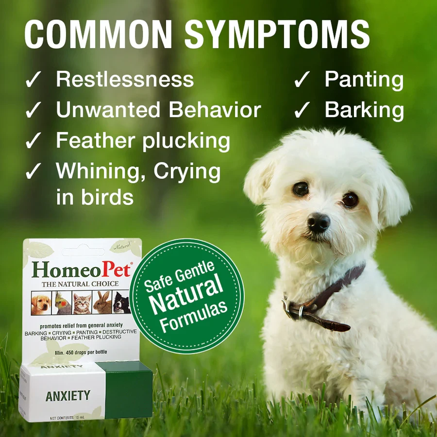 HomeoPet Anxiety 6 HomeoPet Anxiety - Image 4