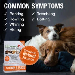 HomeoPet Storm Stress -KONG Shop 04HPStormStress 900x 2cb74aad 9565 4540 9b1c c1cbfb30282a