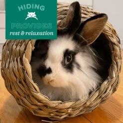 Oxbow Timothy Club Timothy Mat -KONG Shop 11