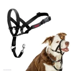 Halti Dog Head Collar Black -KONG Shop 1 HaltiHeadcollarBlackSize2ProductImage