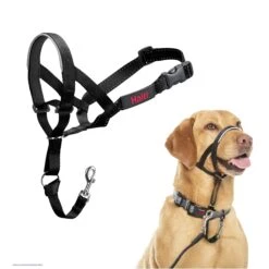 Halti Dog Head Collar Black -KONG Shop 1 HaltiHeadcollarBlackSize3ProductImage