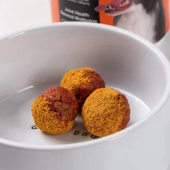 Rose Hip Vital Canine -KONG Shop 20220819 RosHip AdrianHPhoto 1637 5000x d4e28db0 35bc 431d b5f0 2ff8bfdd41a3