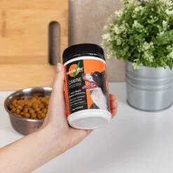 Rose Hip Vital Canine -KONG Shop 20220819 RosHip AdrianHPhoto 1656 1200x 00fdcd0a 0edf 467e 9336 85d8ad1b4f2b