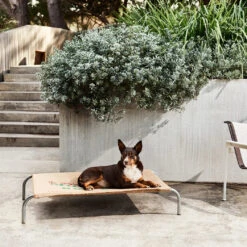 Snooza Original Dog Bed Cover -KONG Shop 220411 SNOOZA 565Sq 1048x1048 bbde71e0 ac1c 4ea4 a30b b994f9a8fd6d