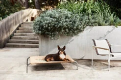 Snooza Jute Mattress -KONG Shop 220411 SNOOZA 565 1048x1048 76a6c71a 1b46 4ed7 bf11 fc89df011134