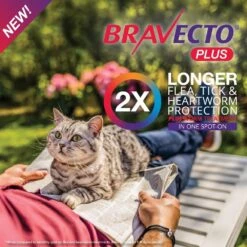 Bravecto Spot On For Medium Cats (2.8-6.25kg) -KONG Shop 48376 fbe5eb36 a4b0 4922 b671 0d5727243a09