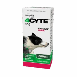 4CYTE Epiitalis Forte Gel For Dogs 8 4CYTE Epiitalis Forte Gel For Dogs -KONG Shop 4CYT D G03 5 scaled 1