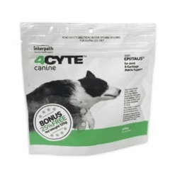 4CYTE Canine Joint Supplements For Dogs -KONG Shop 4CYTE Canine Joint Supplements for Dogs 4CYT C 03C Primary