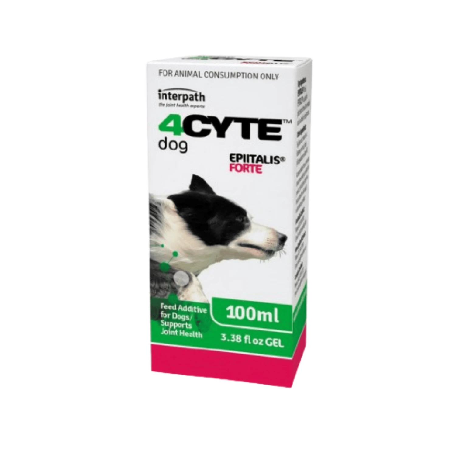 4CYTE Epiitalis Forte Gel For Dogs 4 4CYTE Epiitalis Forte Gel For Dogs - Image 2