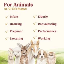 Di-Vetelact Powder 24 Di-Vetelact Powder -KONG Shop 5