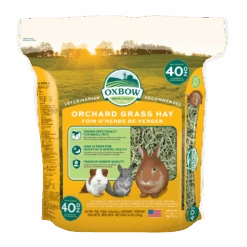 Oxbow Orchard Grass Hay -KONG Shop 744845 40296 3 Orchard 40oz main 2021