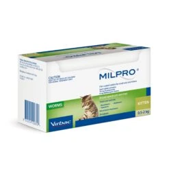 Virbac Milpro Film-Coated Allwormer Tablets For Small Cats/Kittens (0.5-2kg) -KONG Shop 84021501 ETUI MILPRO PCT 24CP VAU E COM 2000x2000 left e8e4d246 8b4f 4af4 8ad3 630c6be036d9