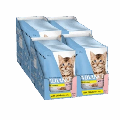 Advance Chicken In Jelly Kitten Wet Food 85g -KONG Shop AdvanceKittenChickenInJelly