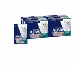 Advance Mature Cat 8+ Ocean Fish In Jelly Wet Food 85g Pouches -KONG Shop AdvanceMatureCat8 OceanfishInJelly