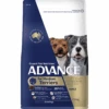 Advance Medium Terriers Turkey With Rice Dog Dry Food -KONG Shop Advance Medium Terriers Turkey with Rice Dog Dry Food PEDI ATM03 Primary