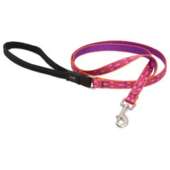 LupinePet Alpen Glow Original Designs Dog Leash