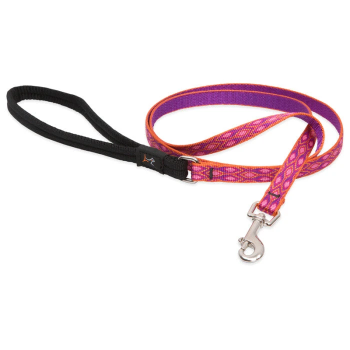 LupinePet Alpen Glow Original Designs Dog Leash 3 LupinePet Alpen Glow Original Designs Dog Leash