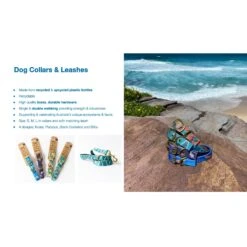 Anipal Billie The Bilby Dog Collar -KONG Shop AnipalCatalogue1