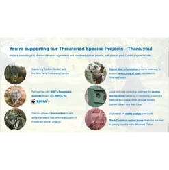 Anipal Billie The Bilby Dog Collar -KONG Shop AnipalCatalogue4