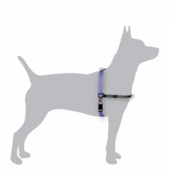 Black Dog Wear Balance Harness - Medium -KONG Shop BH 719ad692 8601 48c9 a7d6 194cddca0a12