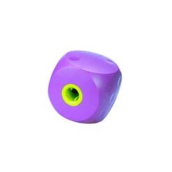 Buster Mini Food Cube For Dogs -KONG Shop BUST M C4