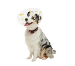 Kruuse Buster Design Collar Bones -KONG Shop BUSTER Design Collar 01