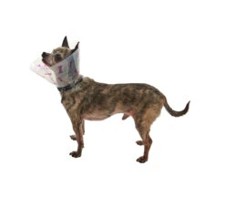 Kruuse Buster Design Collar Bones -KONG Shop BUSTER Design Collar 04