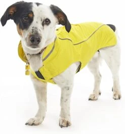 Buster Lemon Raincoat -KONG Shop BUSTERLemonraincoat 2