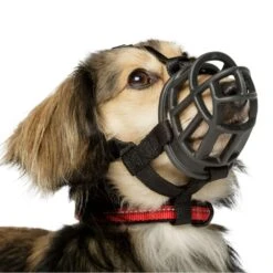 Baskerville Ultra Muzzle For Dogs -KONG Shop BaskervilleUltraMuzzleOnDogSize1WhiteBackground1000x1000px