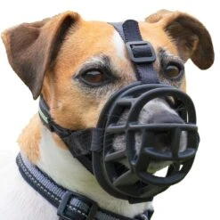 Baskerville Ultra Muzzle For Dogs -KONG Shop BaskervilleUltraMuzzleOnDogSize2WhiteBackground1000x1000px