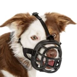 Baskerville Ultra Muzzle For Dogs -KONG Shop BaskervilleUltraMuzzleOnDogSize3WhiteBackground1000x1000px