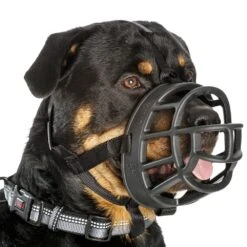Baskerville Ultra Muzzle For Dogs -KONG Shop BaskervilleUltraMuzzleOnDogSize5WhiteBackground1000x1000px