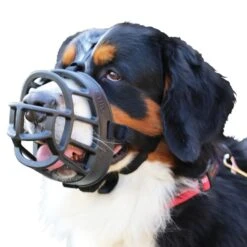 Baskerville Ultra Muzzle For Dogs -KONG Shop BaskervilleUltraMuzzleOnDogSize6WhiteBackground1000x1000px