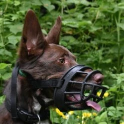 Baskerville Ultra Muzzle For Dogs -KONG Shop BaskervilleUltraMuzzleSize4Lifestyle1000x1000px