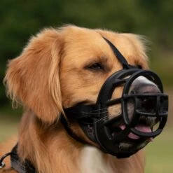 Baskerville Ultra Muzzle For Dogs -KONG Shop BaskervilleUltraMuzzleSize5LifestyleA1000x1000px