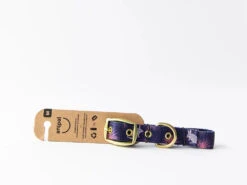 Anipal Billie The Bilby Dog Collar -KONG Shop Billythebilbie3