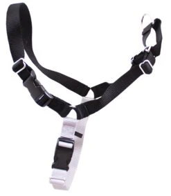 Gentle Leader Harness Small/Medium 7 Gentle Leader Harness Small/Medium -KONG Shop Blackharness c4f5c23c 6d49 4db5 a503 9ff3b5bd42bc
