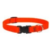 LupinePet Blaze Orange Basic Solids Dog Collar