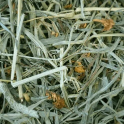 Oxbow Botanical Hay -KONG Shop Botanical Hay Content