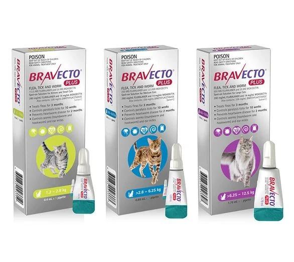 Bravecto Plus Spot-On For Small Cats (1.2-2.8kg) 8 Bravecto Plus Spot-On For Small Cats (1.2-2.8kg) - Image 6