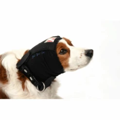 Buster Ear Cover -KONG Shop Buster Ear Cover EAR C B01 Primary