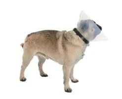 Kruuse Buster E-Collar For Brachycephalic Dogs -KONG Shop COLLSN02 6847