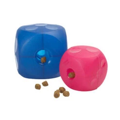 Buster Mini Food Cube For Dogs -KONG Shop CUBE