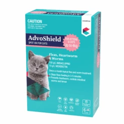 Covetrus AdvoShield Spot On For Cats & Kittens Up To 4kg