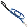 LupinePet Dapper Dog Original Designs Dog Leash