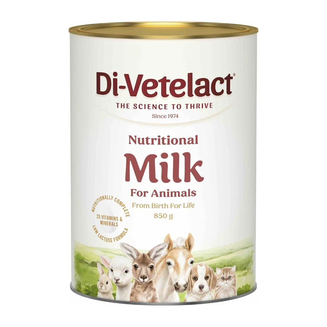 Di-Vetelact Powder 5 Di-Vetelact Powder - Image 3