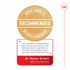 Royal Canin Veterinary Diet Gastrointestinal Adult Dog Wet Food 400g Cans -KONG Shop Dr Helen Orbell PDS Tile 6